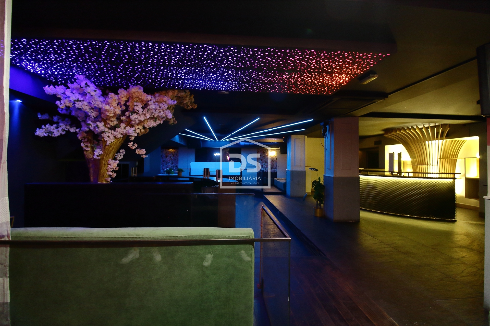 Discoteca