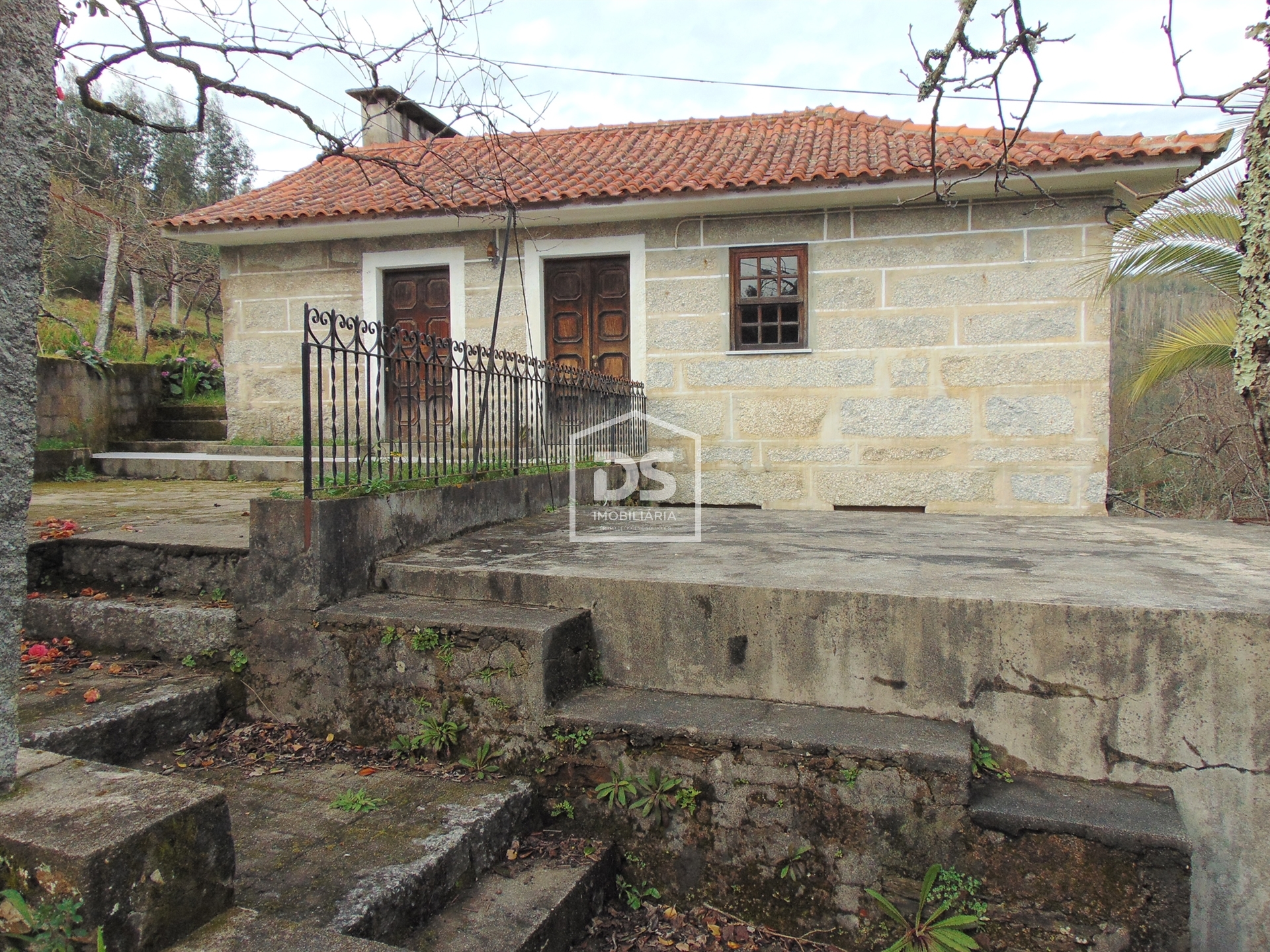 Quinta
