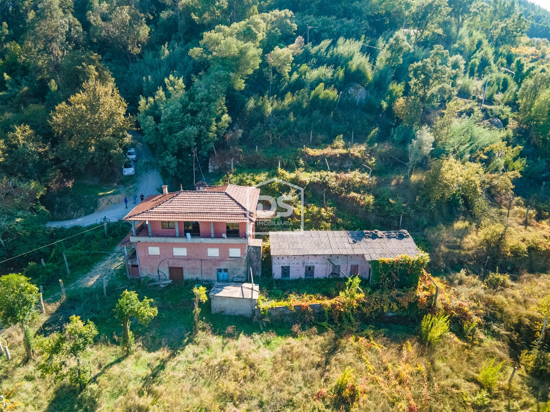 House T7