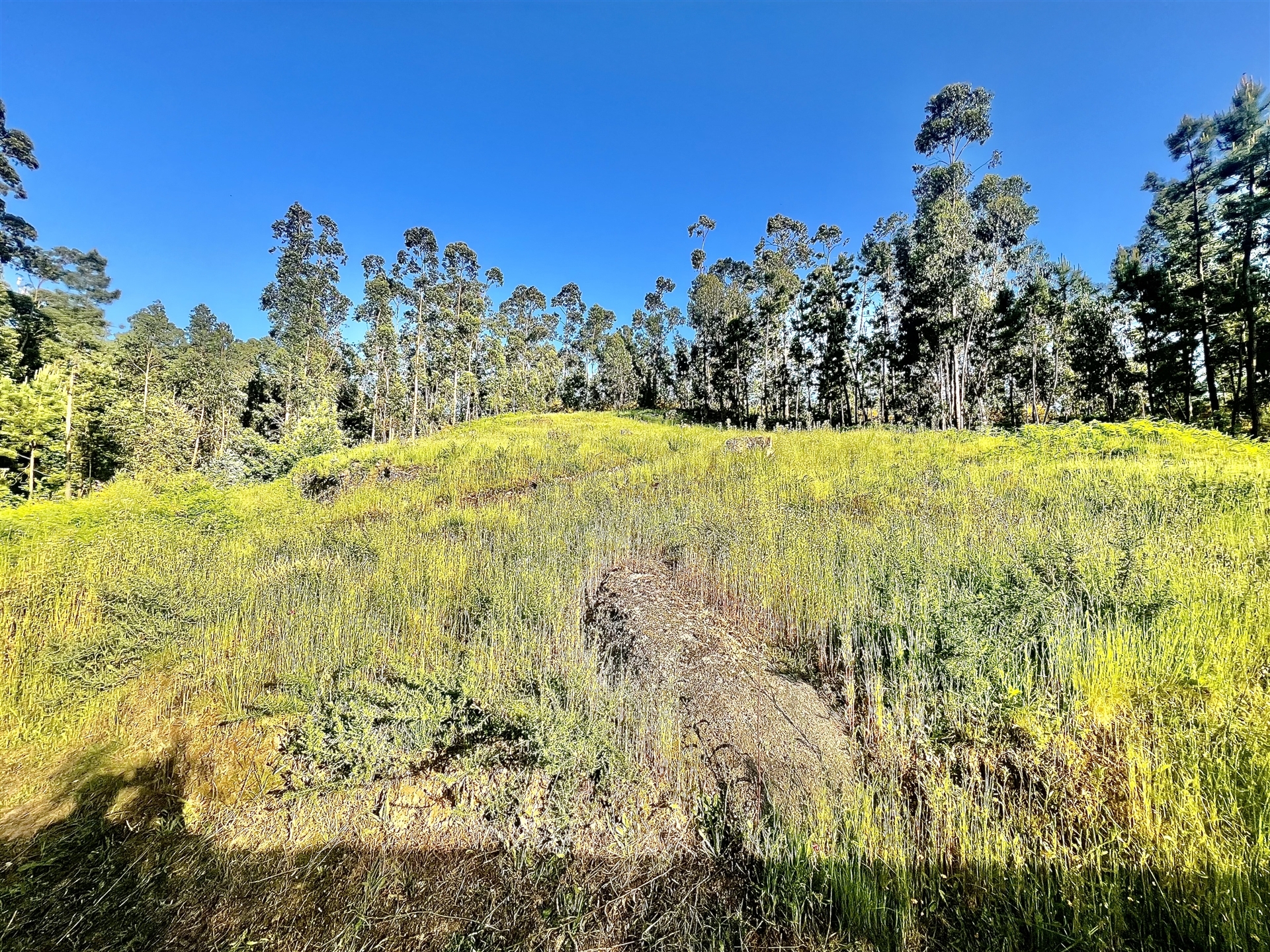 Real estate land