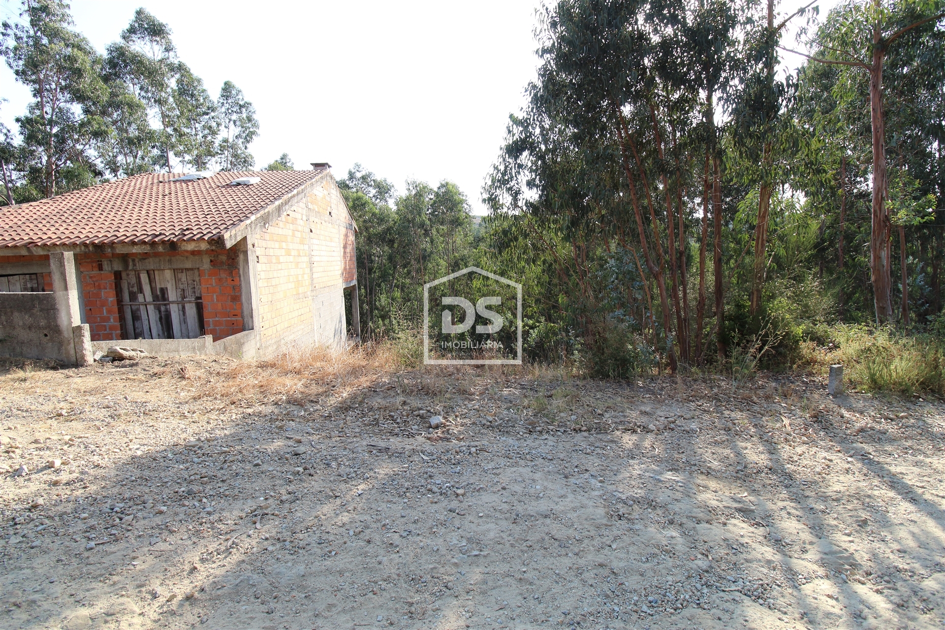 Real estate land