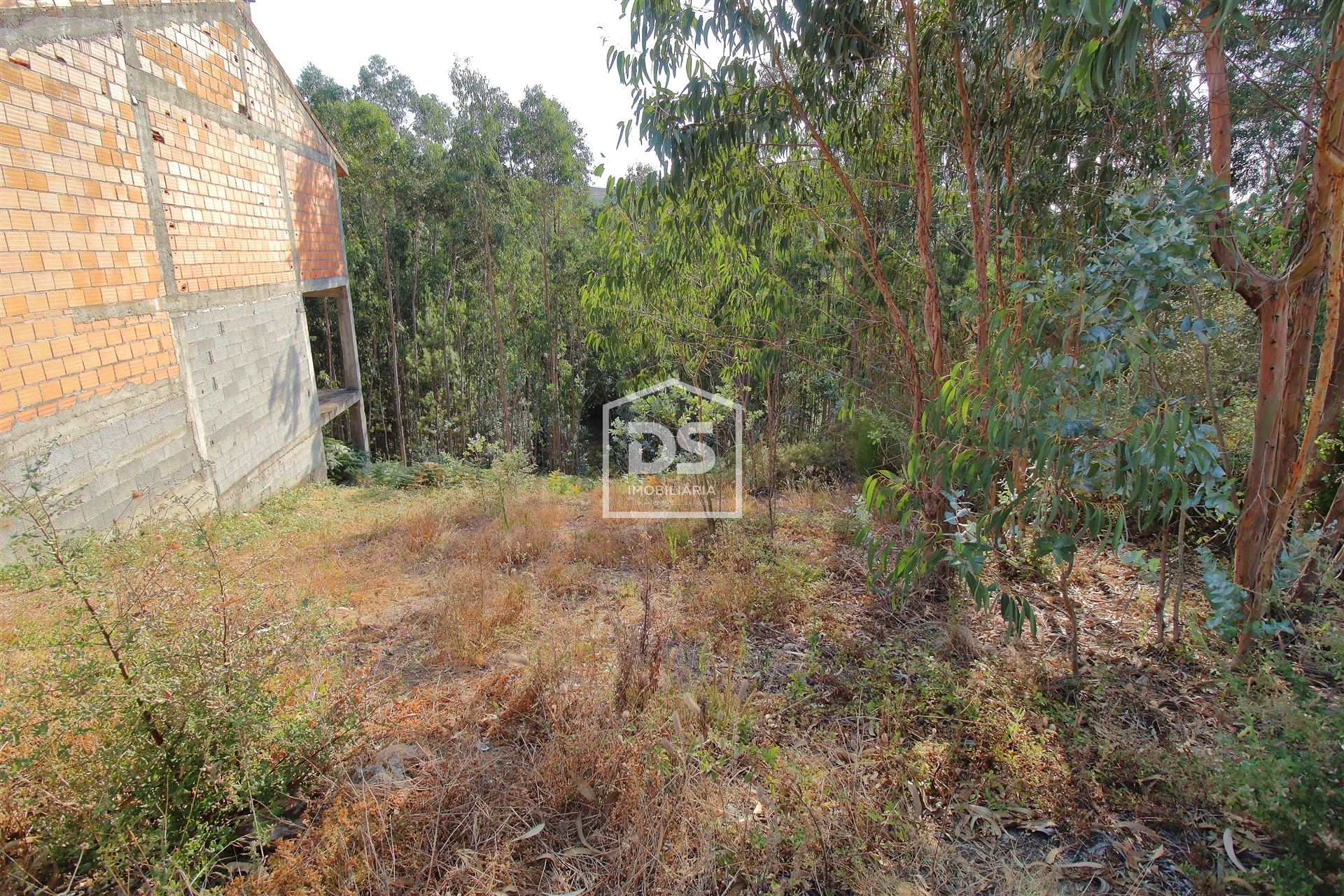 Real estate land