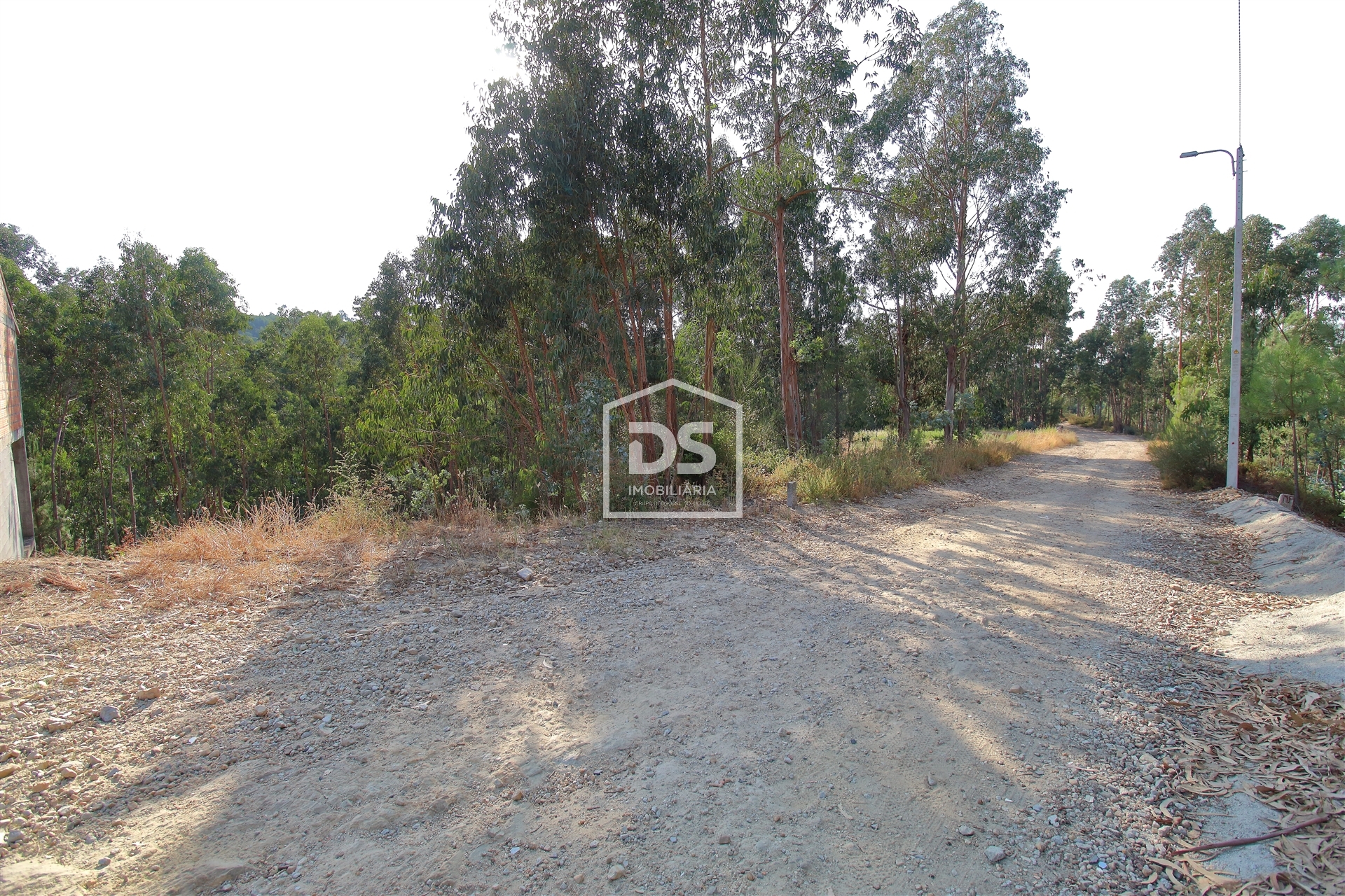 Real estate land