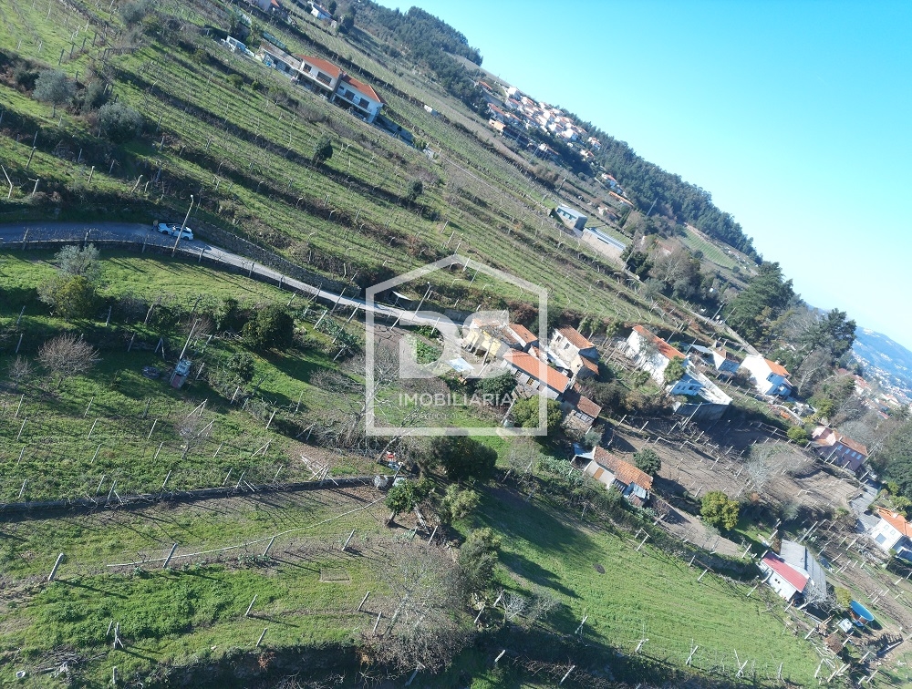 Quinta