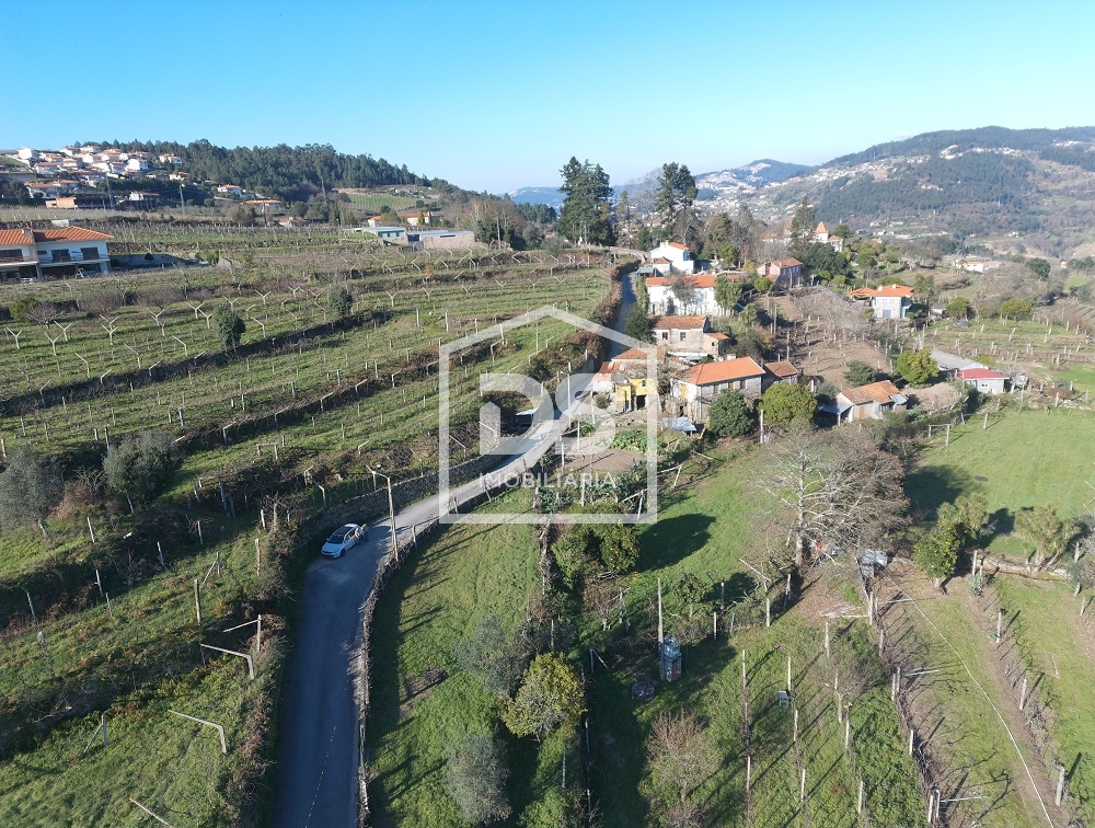 Quinta