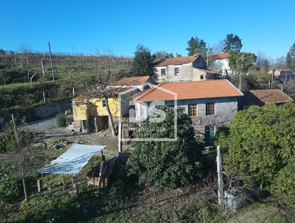 Quinta